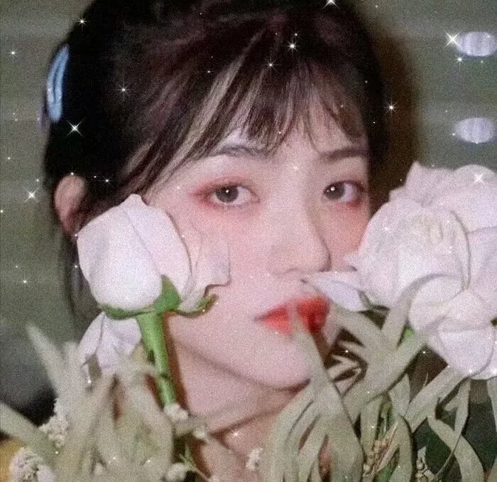 我的挚友安妮·法兰克